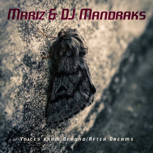 DJ Mandraks, Mariz - Voices from Beyond / After Dreams [TH359]